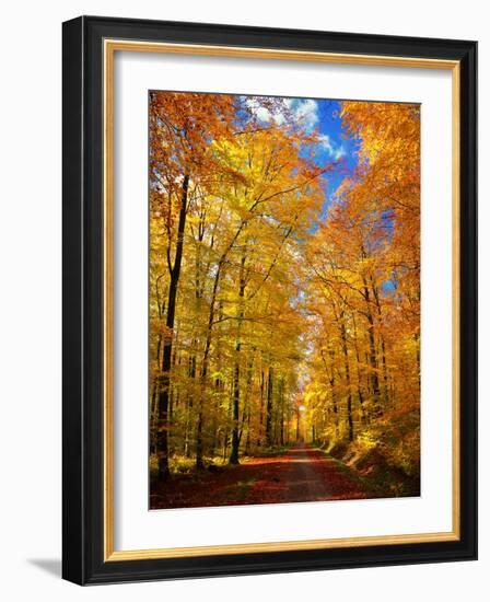 Way to Fall-Philippe Sainte-Laudy-Framed Photographic Print