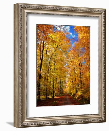 Way to Fall-Philippe Sainte-Laudy-Framed Photographic Print