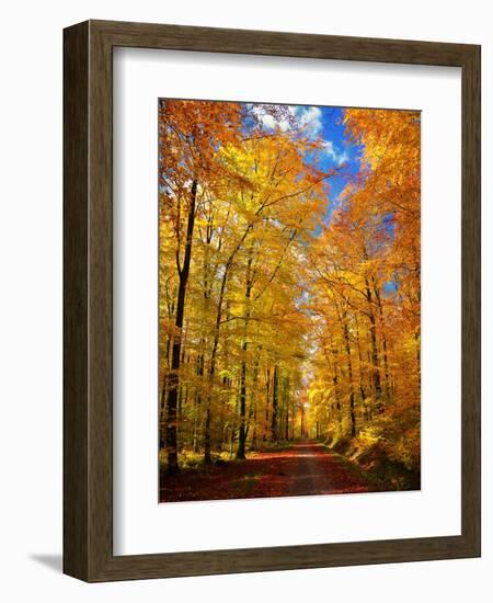 Way to Fall-Philippe Sainte-Laudy-Framed Photographic Print