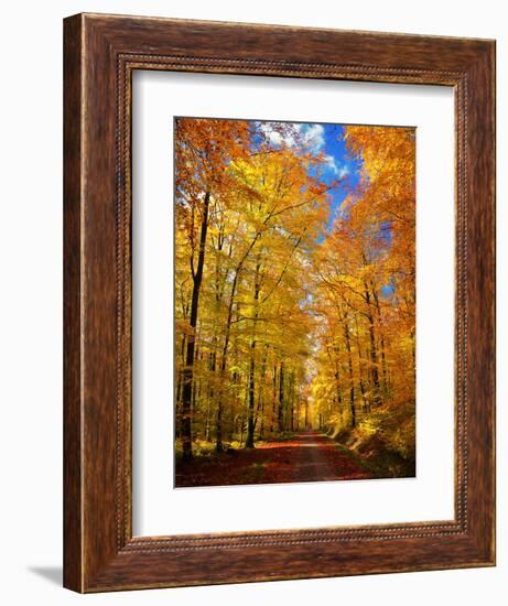 Way to Fall-Philippe Sainte-Laudy-Framed Photographic Print