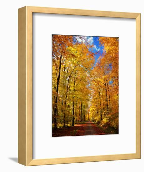 Way to Fall-Philippe Sainte-Laudy-Framed Photographic Print