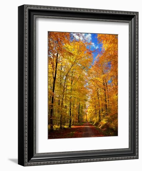 Way to Fall-Philippe Sainte-Laudy-Framed Photographic Print