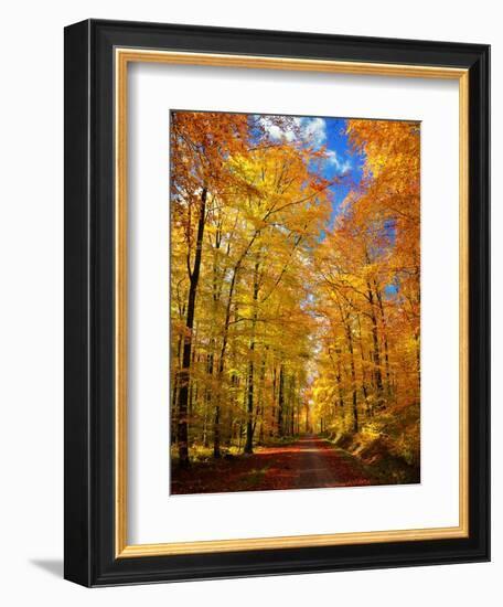 Way to Fall-Philippe Sainte-Laudy-Framed Photographic Print