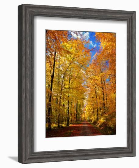 Way to Fall-Philippe Sainte-Laudy-Framed Premium Photographic Print