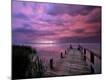 Premium Photographic Print