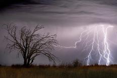 Lightning-Wayne Bradbury-Photographic Print