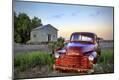 Photographic Print