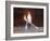 Wayne Gretzky and Others with Burning Olympic Cauldron, Opening Ceremonies for the XXI Winter Games-null-Framed Photographic Print