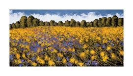 Summer Splendor-Wayne Leidenfrost-Stretched Canvas