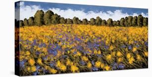 Summer Splendor-Wayne Leidenfrost-Stretched Canvas