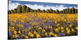 Fields of Gold-Wayne Leidenfrost-Giclee Print