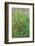 Wayne, Pennsylvania. Summer Flowers Abstract in Chanticleer Garden-Jay O'brien-Framed Photographic Print