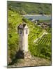 Wayside Shrine Near Old Town Gate Rote Tor in the Village Spitz, in the Vineyards of the Wachau-Martin Zwick-Mounted Photographic Print