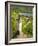 Wayside Shrine Near Old Town Gate Rote Tor in the Village Spitz, in the Vineyards of the Wachau-Martin Zwick-Framed Photographic Print