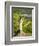Wayside Shrine Near Old Town Gate Rote Tor in the Village Spitz, in the Vineyards of the Wachau-Martin Zwick-Framed Photographic Print