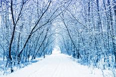 Winter-WDG Photo-Framed Premier Image Canvas