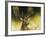 WDH9019-Rien Poortvliet-Framed Giclee Print