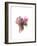 We Are All Made of Flowers V-Aneta Ivanova-Framed Giclee Print