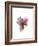 We Are All Made of Flowers V-Aneta Ivanova-Framed Giclee Print