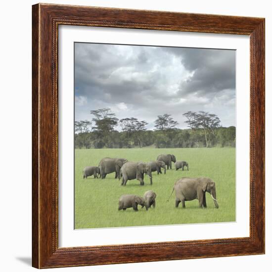 We Are Family 2-Ben Heine-Framed Photographic Print