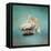 We are Family White Pelicans-Jai Johnson-Framed Premier Image Canvas