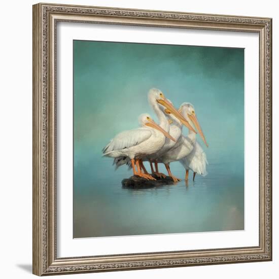 We are Family White Pelicans-Jai Johnson-Framed Giclee Print