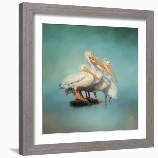 We are Family White Pelicans-Jai Johnson-Framed Giclee Print