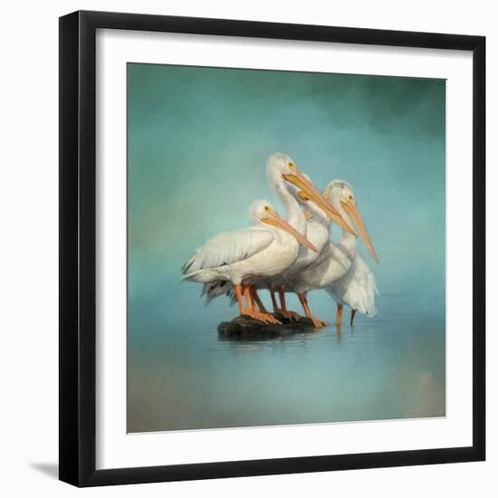 We are Family White Pelicans-Jai Johnson-Framed Giclee Print