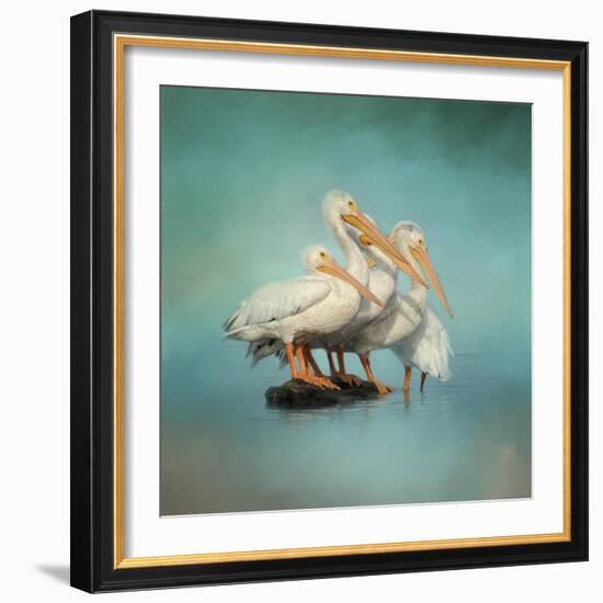 We are Family White Pelicans-Jai Johnson-Framed Giclee Print