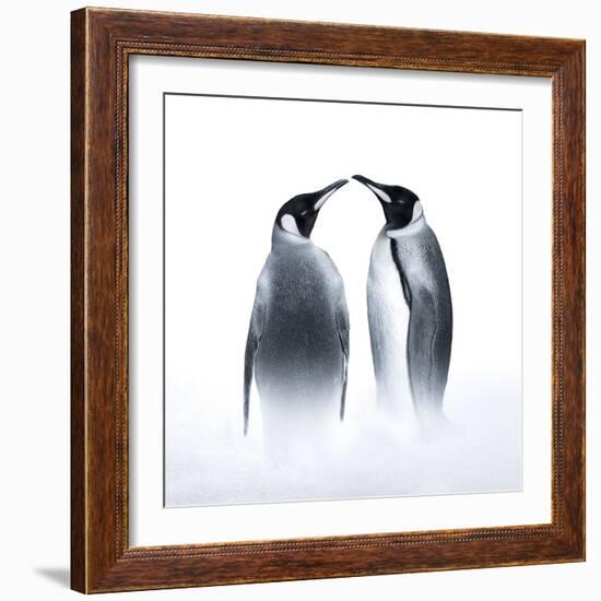 We are King Penguin-Judy Tseng-Framed Giclee Print