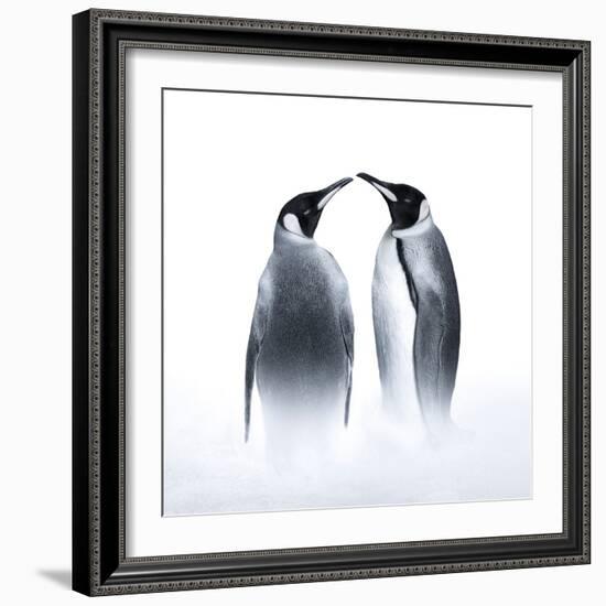 We are King Penguin-Judy Tseng-Framed Giclee Print