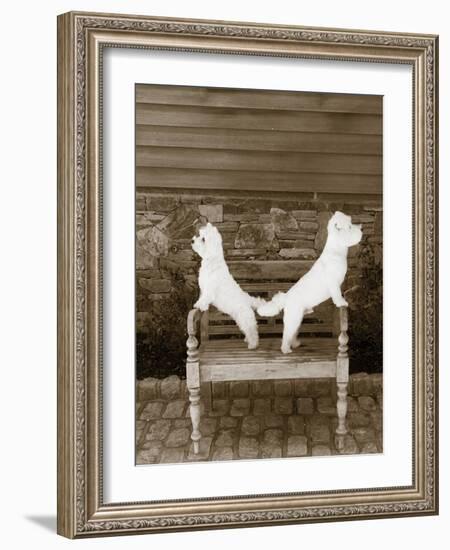 We are Ready-Jim Dratfield-Framed Photo