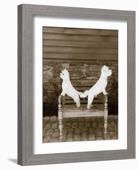 We are Ready-Jim Dratfield-Framed Photo