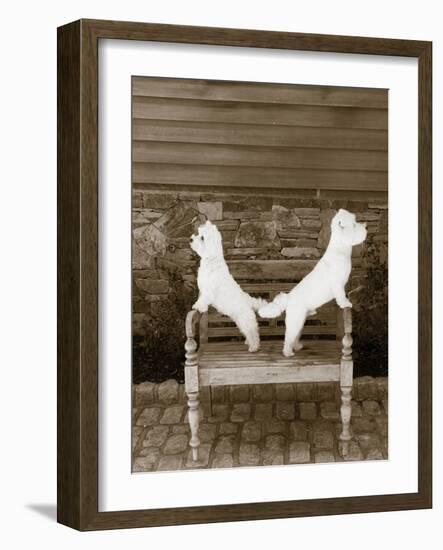 We are Ready-Jim Dratfield-Framed Photo