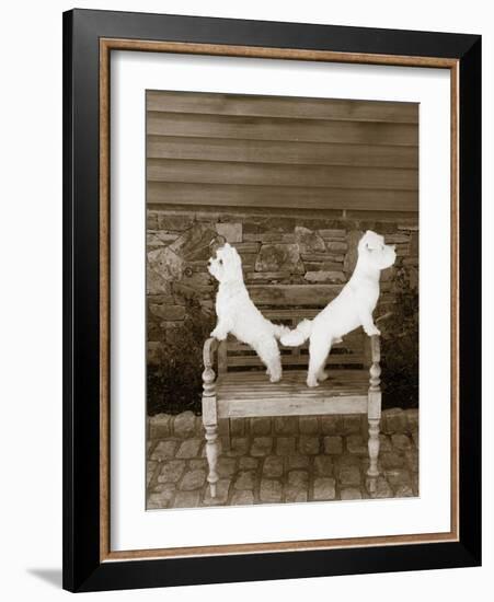 We are Ready-Jim Dratfield-Framed Photo