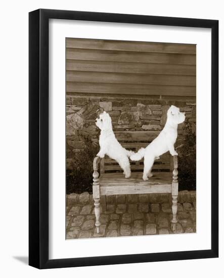 We are Ready-Jim Dratfield-Framed Photo