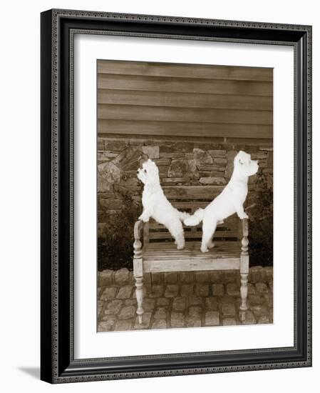 We are Ready-Jim Dratfield-Framed Photo