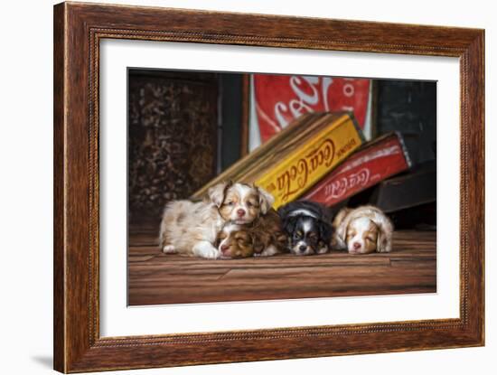 We Drank it All-Santa?s Workshop-Framed Premium Giclee Print