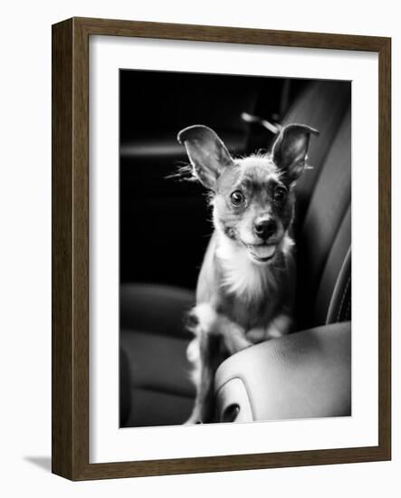 We Goin' for a Ride-Edward M. Fielding-Framed Photographic Print