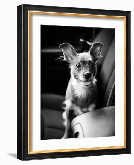 We Goin' for a Ride-Edward M. Fielding-Framed Photographic Print