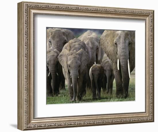 We're All Here-Art Wolfe-Framed Photographic Print