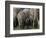 We're All Here-Art Wolfe-Framed Photographic Print