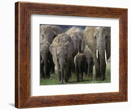 We're All Here-Art Wolfe-Framed Photographic Print