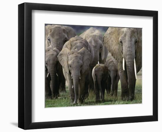 We're All Here-Art Wolfe-Framed Photographic Print