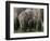 We're All Here-Art Wolfe-Framed Photographic Print