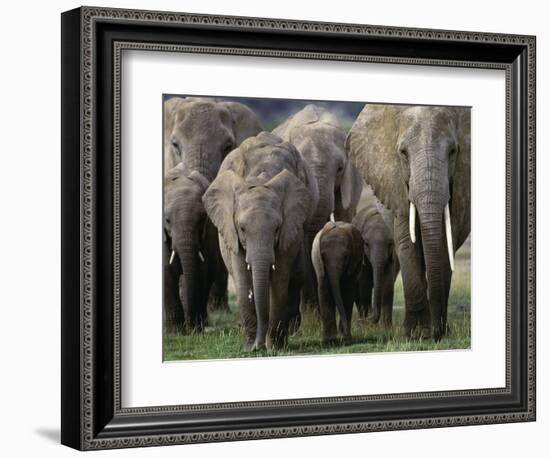 We're All Here-Art Wolfe-Framed Photographic Print