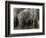 We're All Here-Art Wolfe-Framed Photographic Print