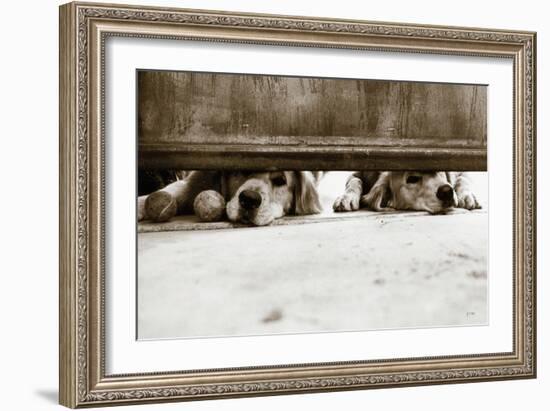 We See You v2-Jim Dratfield-Framed Photo