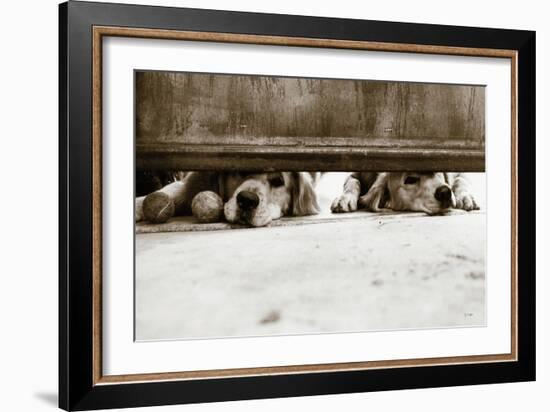 We See You v2-Jim Dratfield-Framed Photo