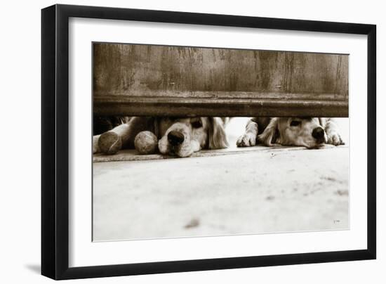 We See You v2-Jim Dratfield-Framed Photo